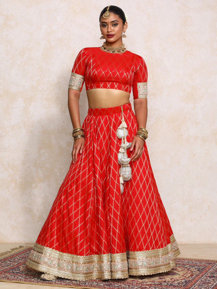 Hoor x Tyohaar | Berry Red Vine Mesh Brocade FlareFit™ Lehenga Set with Dupatta - Image 16