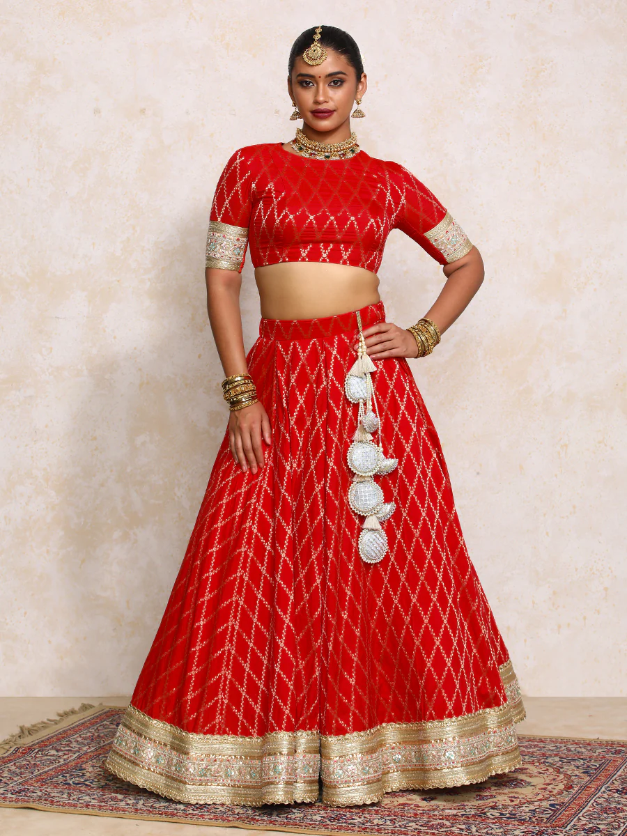 Hoor x Tyohaar | Berry Red Vine Mesh Brocade FlareFit™ Lehenga Set with Dupatta - Image 7