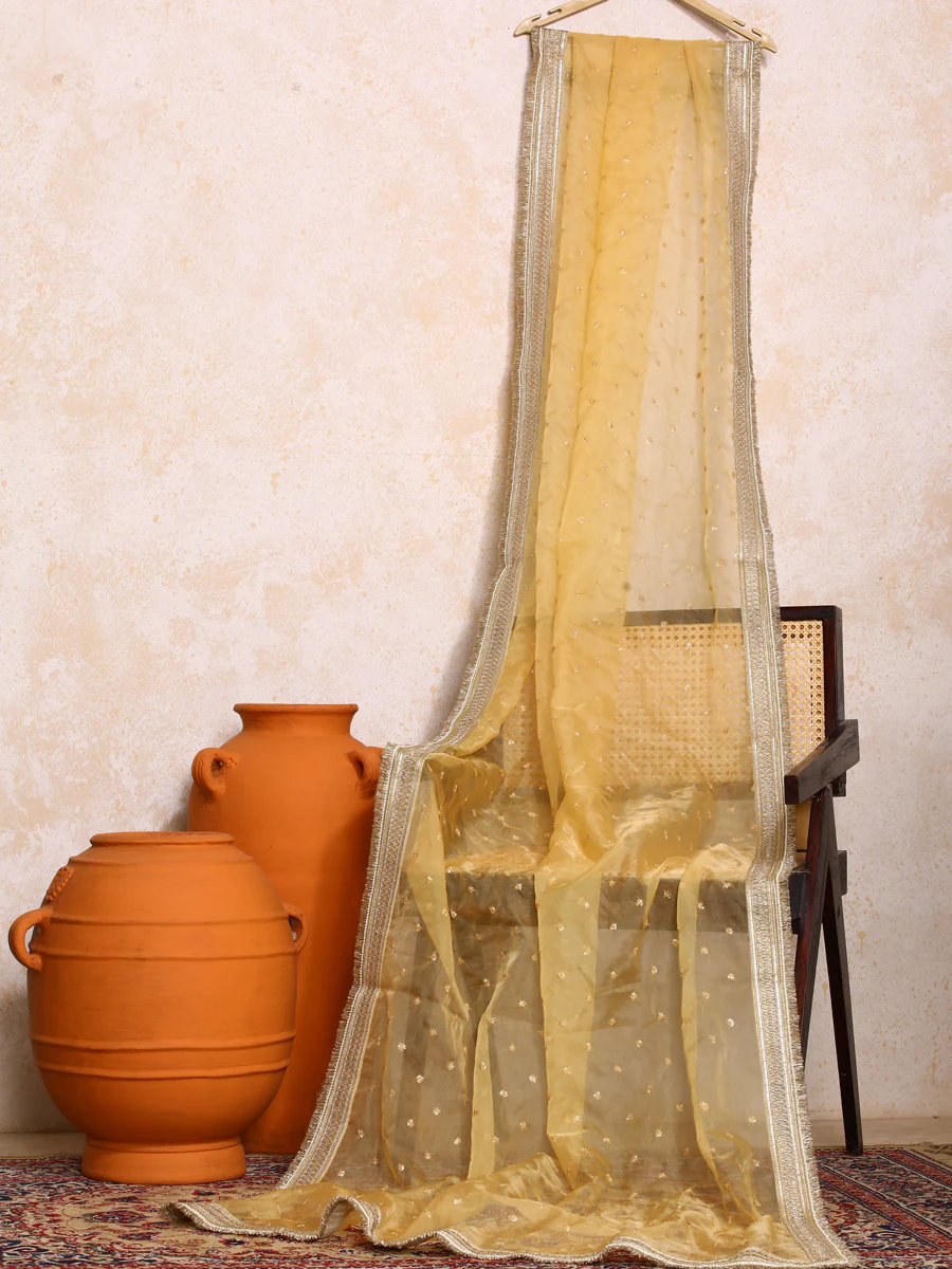 Ruhani x Tyohaar | Marsala Gold Tissue FlareFit™ Lehenga Set with Dupatta - Image 9