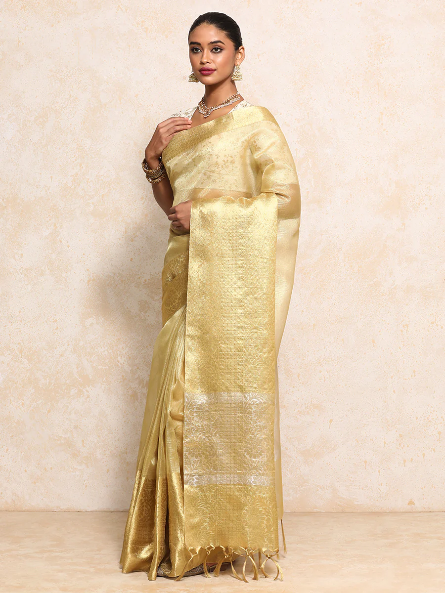 Golden Tissue Saree With Woven Dahlia Motif Border - Image 7
