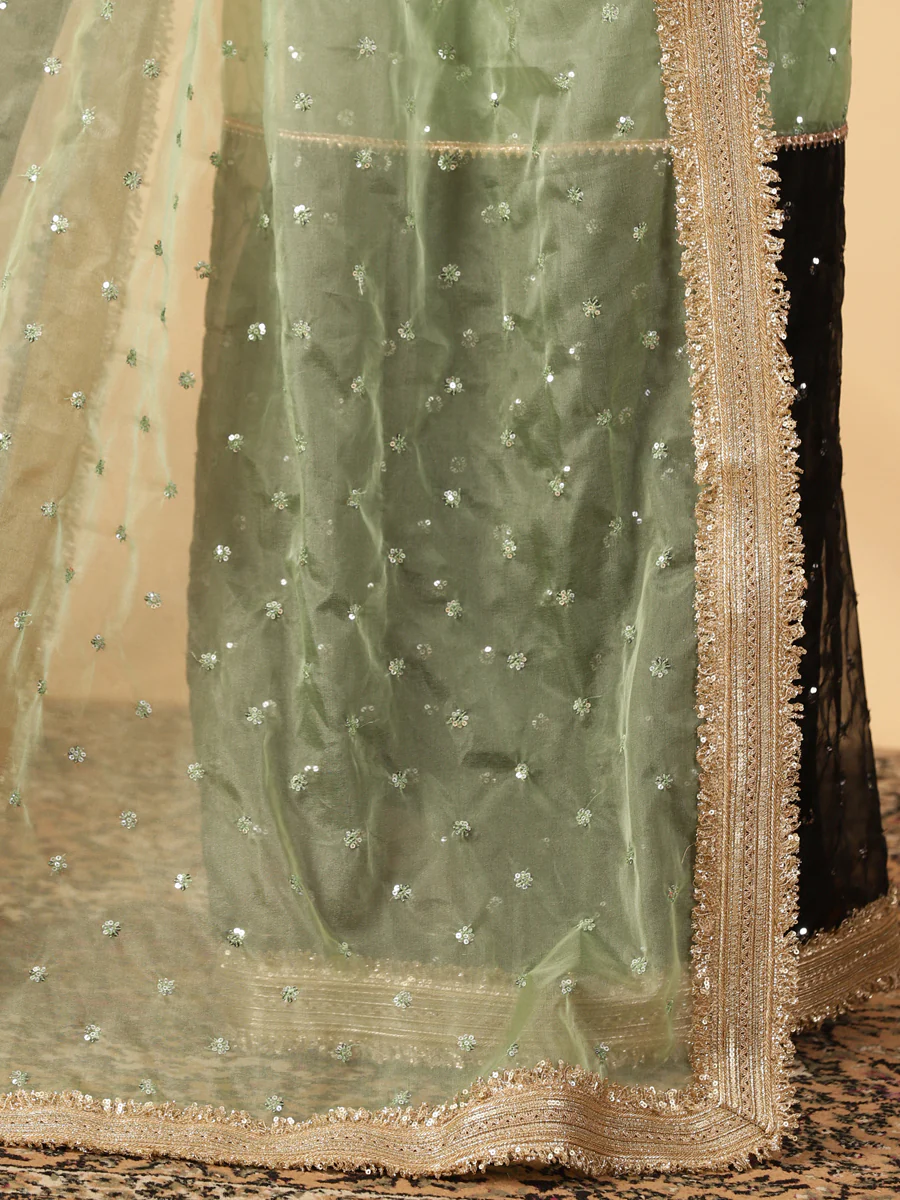 Mint Green & Black Organza Sequin Butta Saree With Designer Embroidered Lace - Image 5
